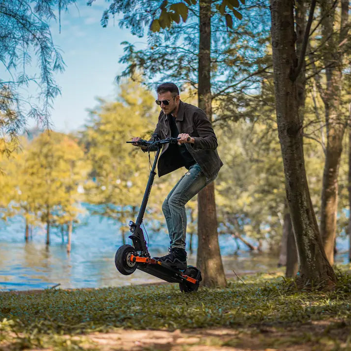 JOYOR S5-Z All-terrain Electric Scooter