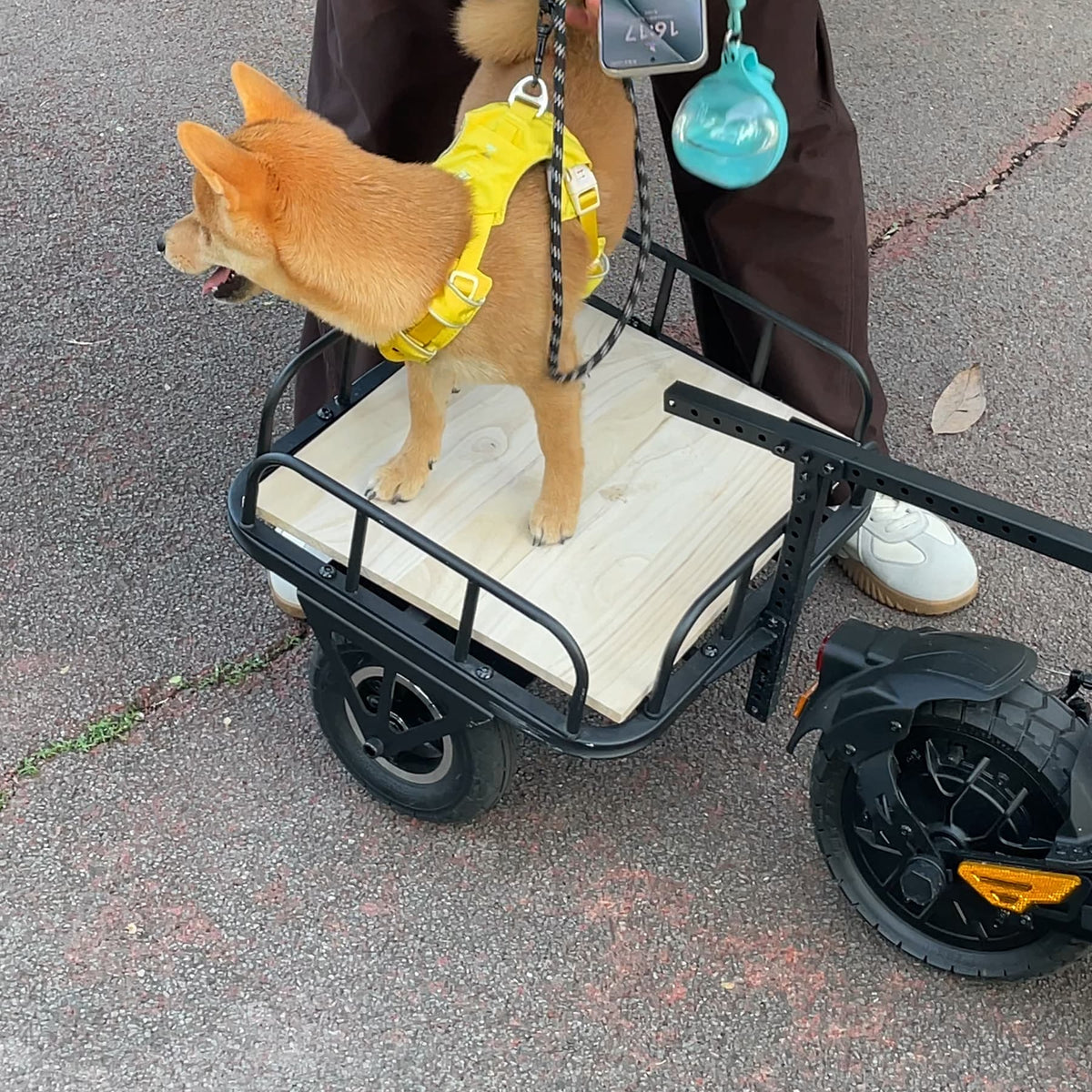 Your Little Sidekick